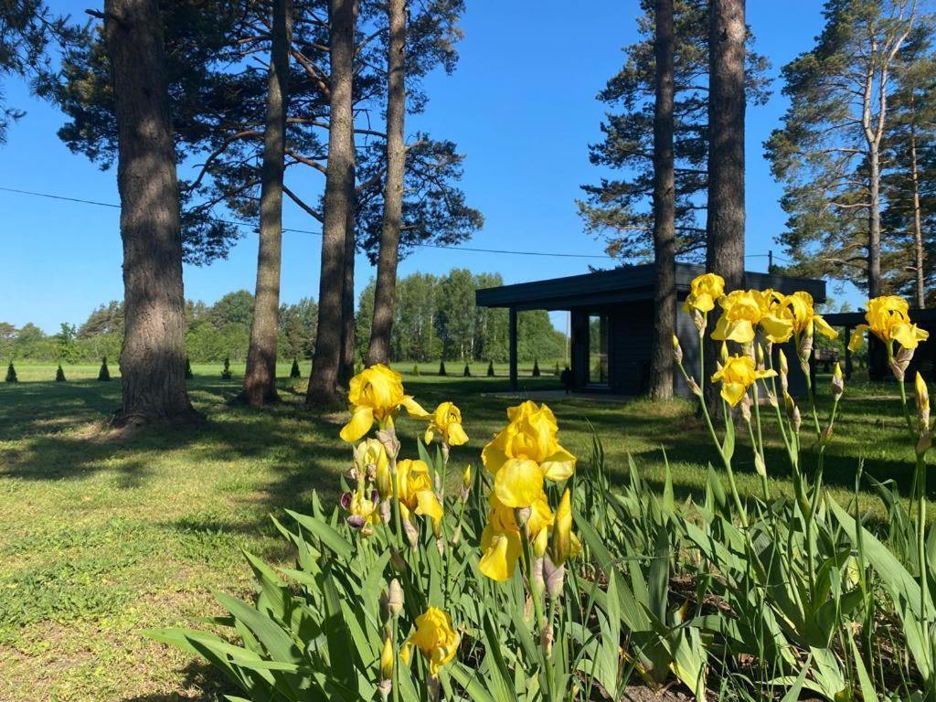 Maennituka Suvetuba Campsite